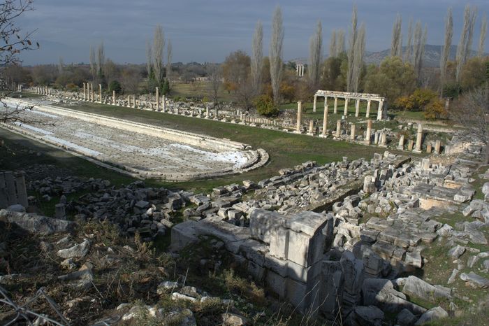 Denizatlarının soyu tehlikede
